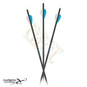 Carbon Express Carbonpfeile Predator mit Vanes 4560 (mit...