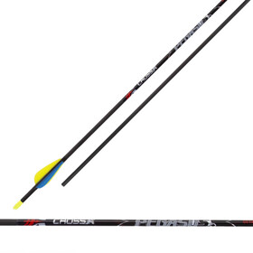 Cross-X Carbonpfeile Pegasus Octagon mit Vanes