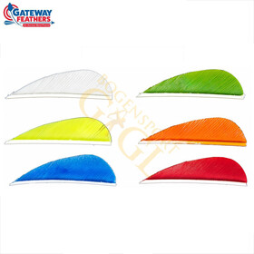 Gateway Naturfeder Parabolic RW