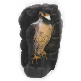 A.A. Targets Falke im Felsen