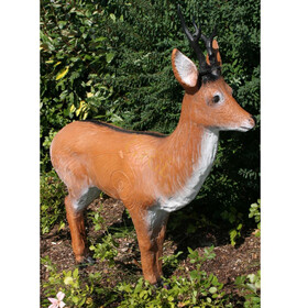 A.A. Targets stehender Rehbock