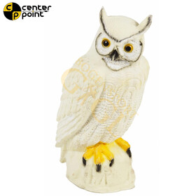 Center Point Schneeeule