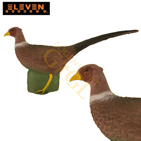 Eleven Targets Fasan