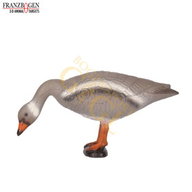 Franzbogen fressende Graugans