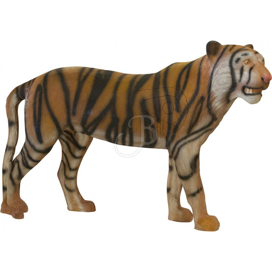 Leitold Tiger