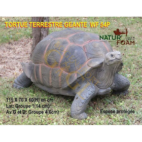 NaturFoam groe Schildkrte