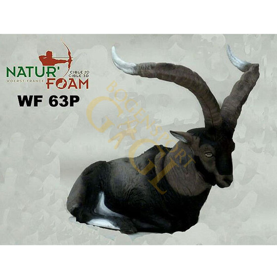 NaturFoam liegender spanischer Steinbock