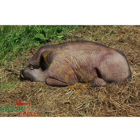 NaturFoam liegendes Wildschwein