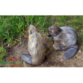 NaturFoam sitzender Biber