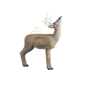 Rinehart Browsing Buck suchender Hirsch