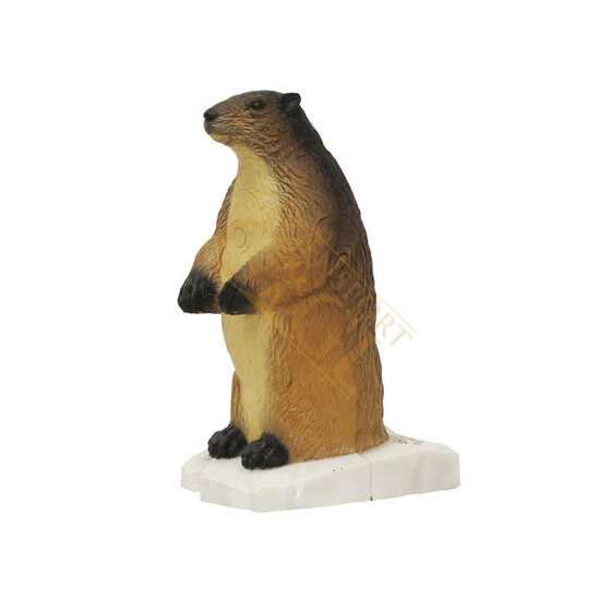 SRT Targets Murmeltier