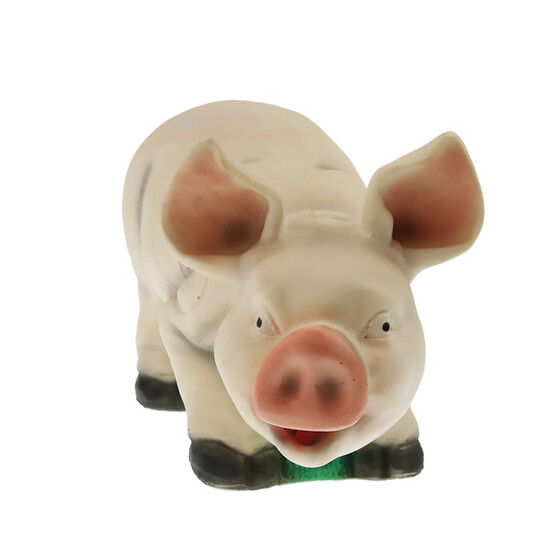 TC Targets Porky Pic Schwein