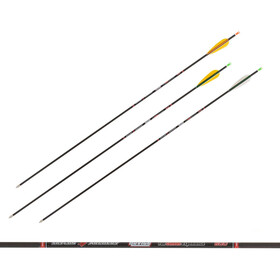 Skylon Carbonpfeile Novice mit Naturfedern - 1300