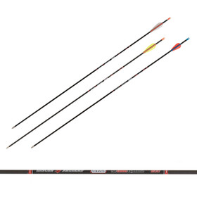 Skylon Carbonpfeile Novice mit Vanes