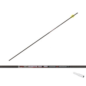 Skylon Carbonpfeile Quantic 3K Carbon mit Blazer Vanes