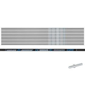 Skylon Carbonschaft Radius - 450