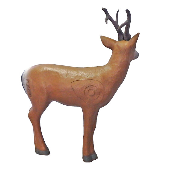 Leitold Sibirischer Rehbock