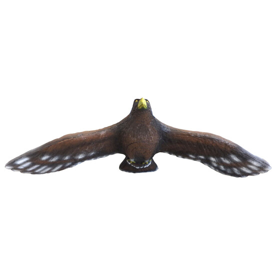 Leitold fliegender Steinadler