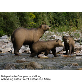 SRT Targets marksikanisches Brenjunges