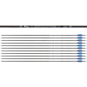 Avalon Pfeil Tyro --NEU-- ab 3,30 Euro 1500 Rot/Gelb